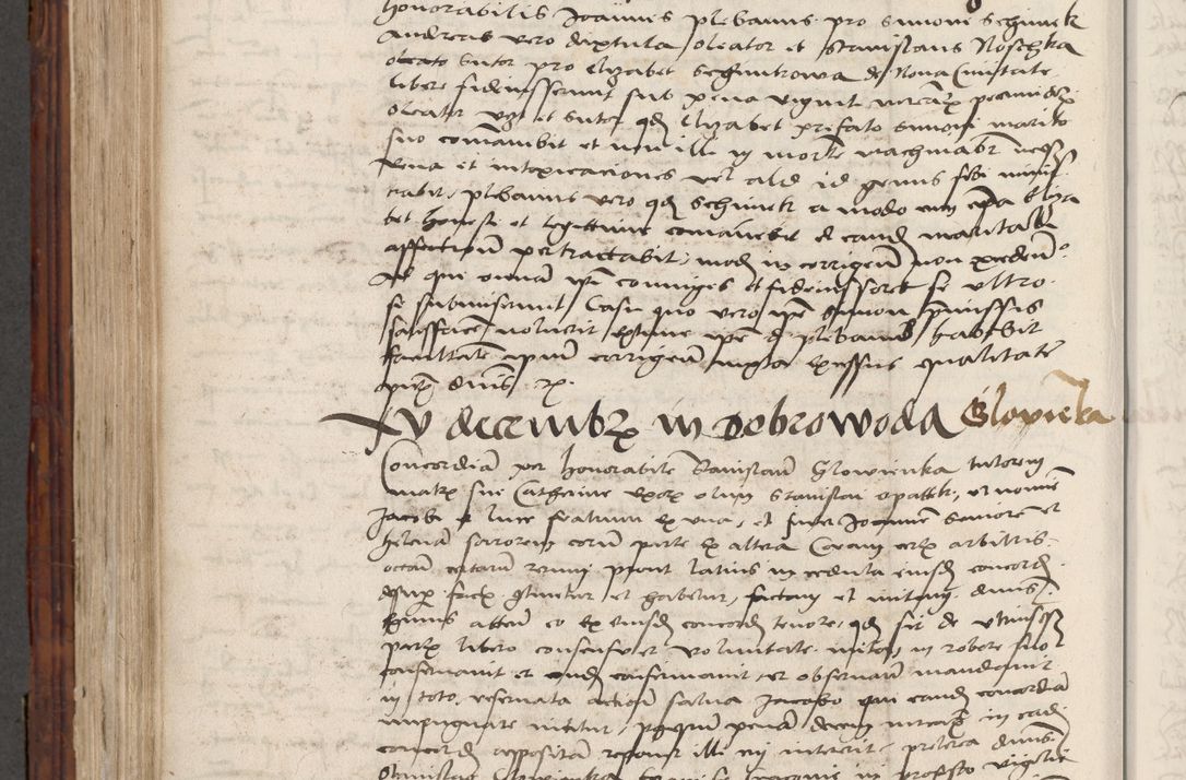 Zdjęcie nr 674 dla obiektu archiwalnego: Volumen III actorum episcopalium R.R.  Joannis Konarski episcopi Cracoviensis ex annis 18 I 1520-27 III 1524