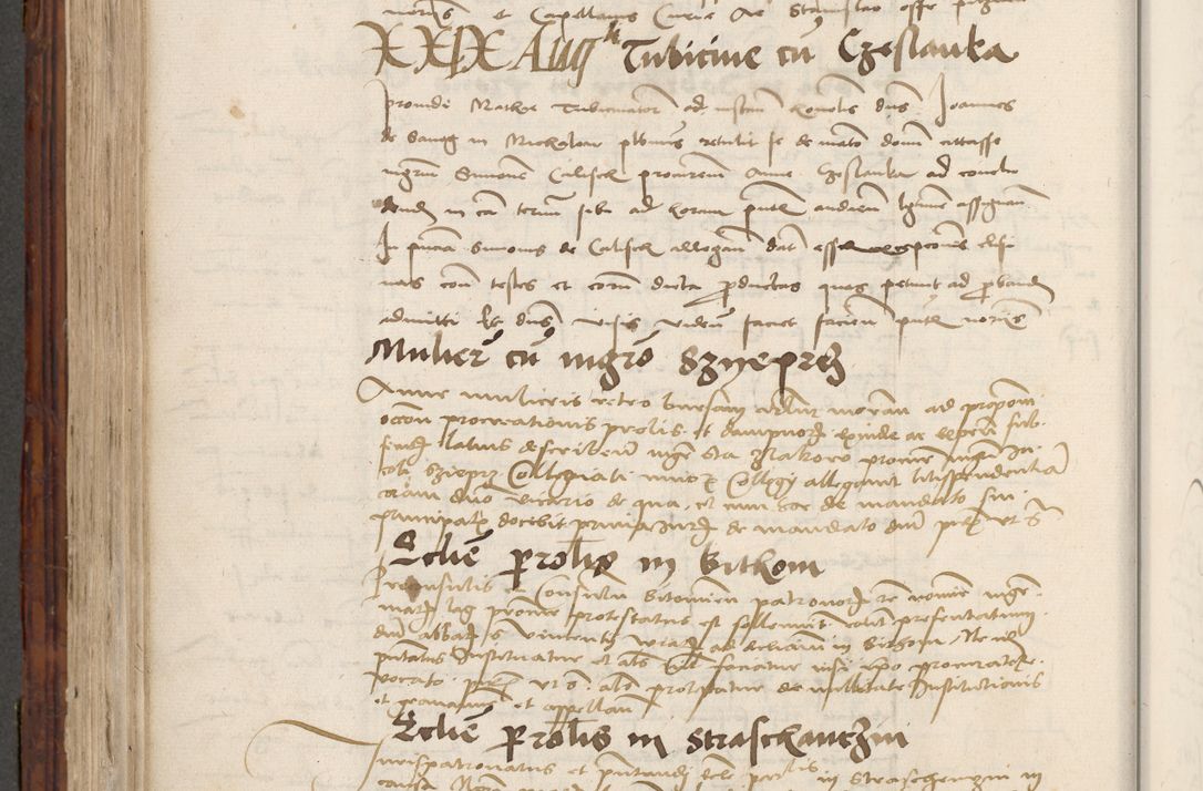Zdjęcie nr 596 dla obiektu archiwalnego: Volumen III actorum episcopalium R.R.  Joannis Konarski episcopi Cracoviensis ex annis 18 I 1520-27 III 1524