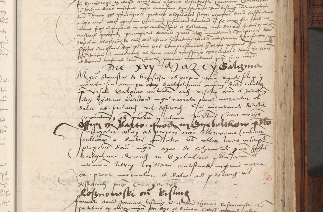 Zdjęcie nr 495 dla obiektu archiwalnego: Volumen III actorum episcopalium R.R.  Joannis Konarski episcopi Cracoviensis ex annis 18 I 1520-27 III 1524