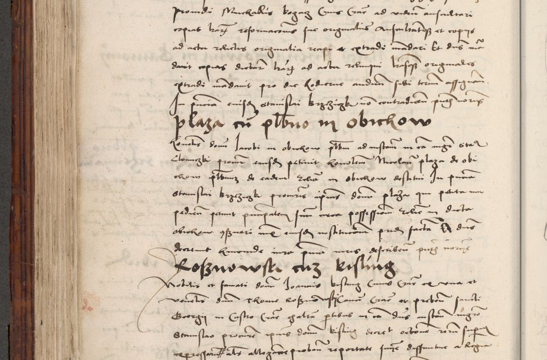 Zdjęcie nr 494 dla obiektu archiwalnego: Volumen III actorum episcopalium R.R.  Joannis Konarski episcopi Cracoviensis ex annis 18 I 1520-27 III 1524