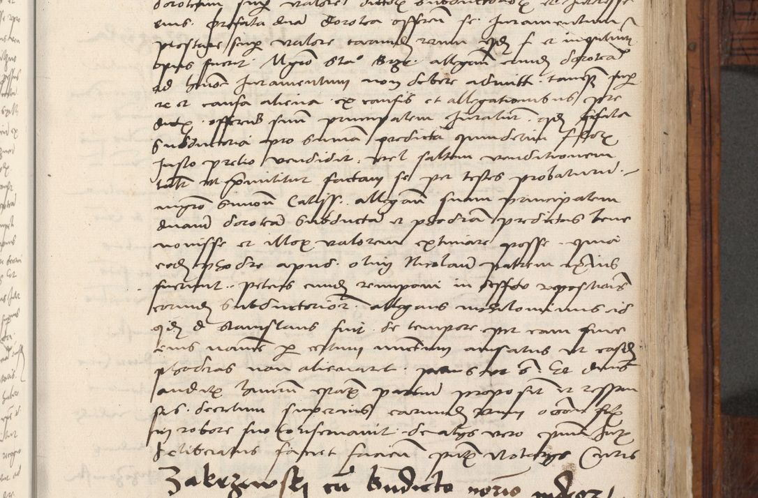 Zdjęcie nr 463 dla obiektu archiwalnego: Volumen III actorum episcopalium R.R.  Joannis Konarski episcopi Cracoviensis ex annis 18 I 1520-27 III 1524