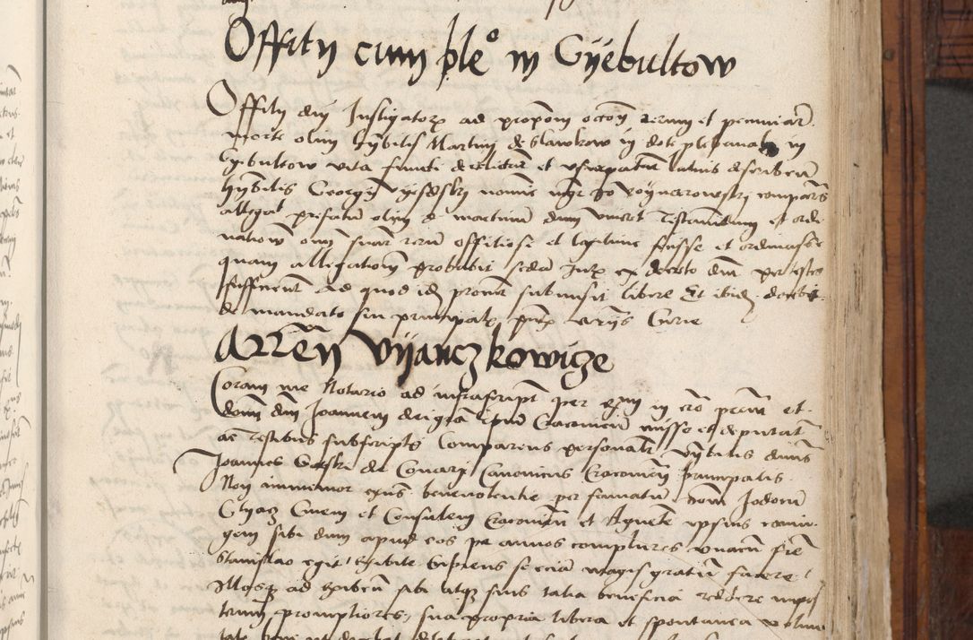 Zdjęcie nr 451 dla obiektu archiwalnego: Volumen III actorum episcopalium R.R.  Joannis Konarski episcopi Cracoviensis ex annis 18 I 1520-27 III 1524