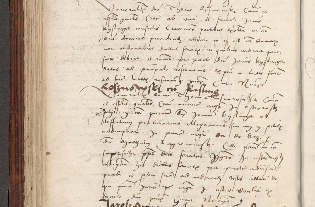Zdjęcie nr 342 dla obiektu archiwalnego: Volumen III actorum episcopalium R.R.  Joannis Konarski episcopi Cracoviensis ex annis 18 I 1520-27 III 1524