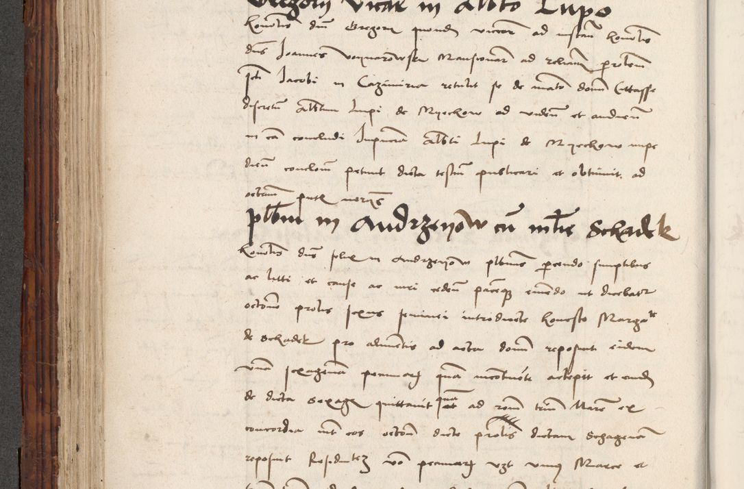 Zdjęcie nr 302 dla obiektu archiwalnego: Volumen III actorum episcopalium R.R.  Joannis Konarski episcopi Cracoviensis ex annis 18 I 1520-27 III 1524