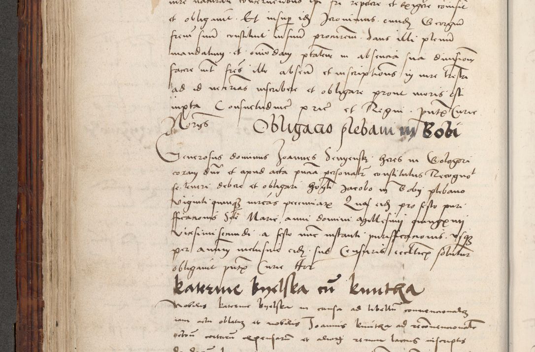 Zdjęcie nr 290 dla obiektu archiwalnego: Volumen III actorum episcopalium R.R.  Joannis Konarski episcopi Cracoviensis ex annis 18 I 1520-27 III 1524