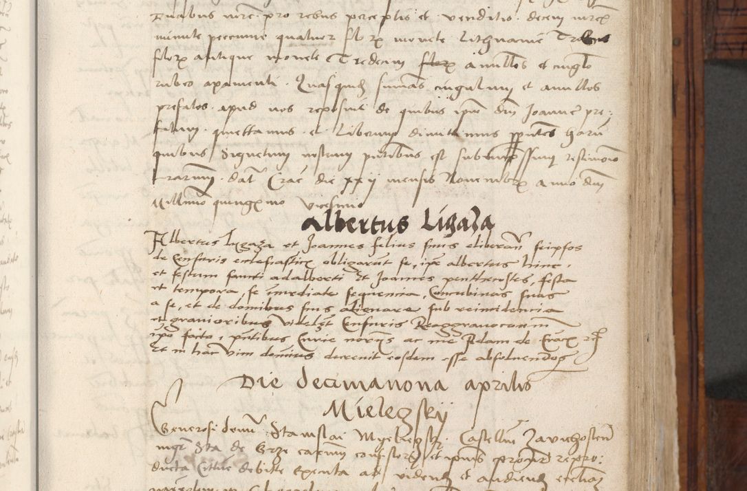Zdjęcie nr 261 dla obiektu archiwalnego: Volumen III actorum episcopalium R.R.  Joannis Konarski episcopi Cracoviensis ex annis 18 I 1520-27 III 1524