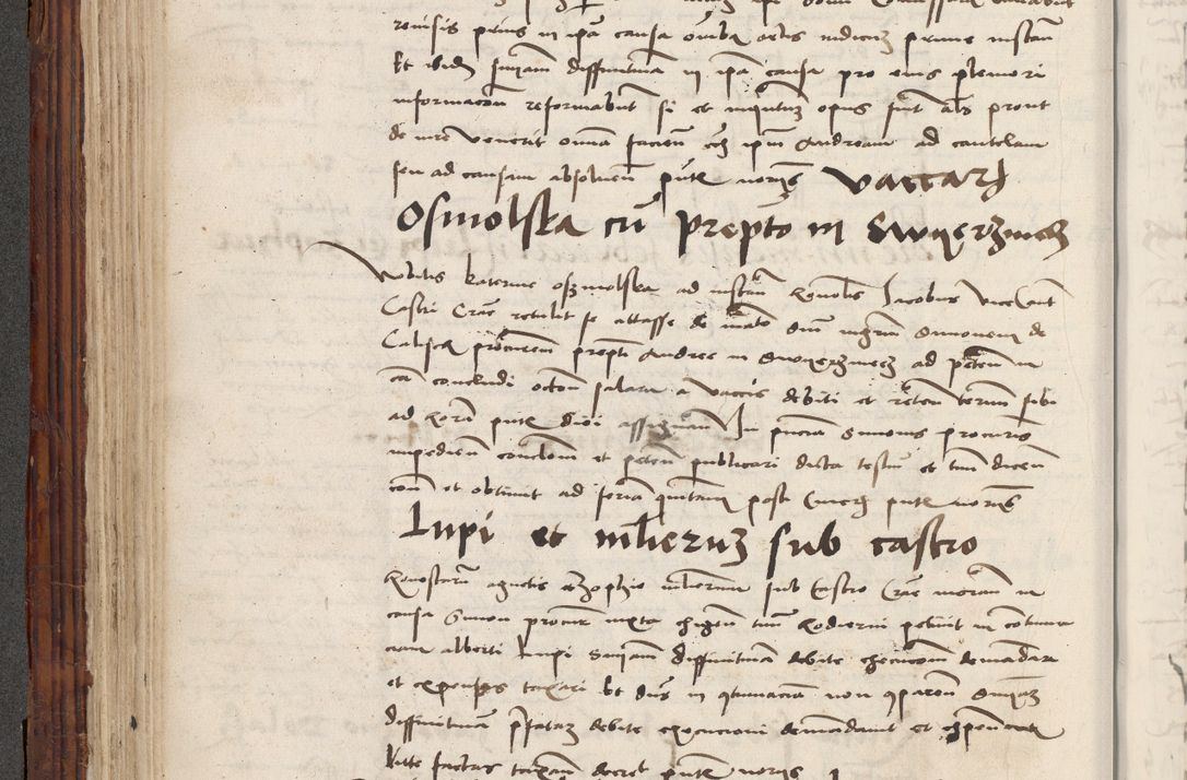 Zdjęcie nr 232 dla obiektu archiwalnego: Volumen III actorum episcopalium R.R.  Joannis Konarski episcopi Cracoviensis ex annis 18 I 1520-27 III 1524