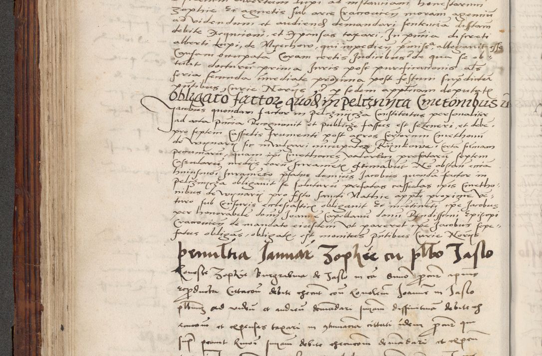 Zdjęcie nr 230 dla obiektu archiwalnego: Volumen III actorum episcopalium R.R.  Joannis Konarski episcopi Cracoviensis ex annis 18 I 1520-27 III 1524