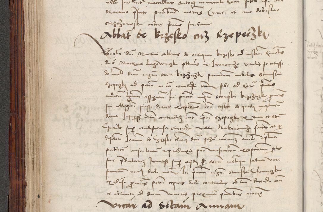Zdjęcie nr 212 dla obiektu archiwalnego: Volumen III actorum episcopalium R.R.  Joannis Konarski episcopi Cracoviensis ex annis 18 I 1520-27 III 1524
