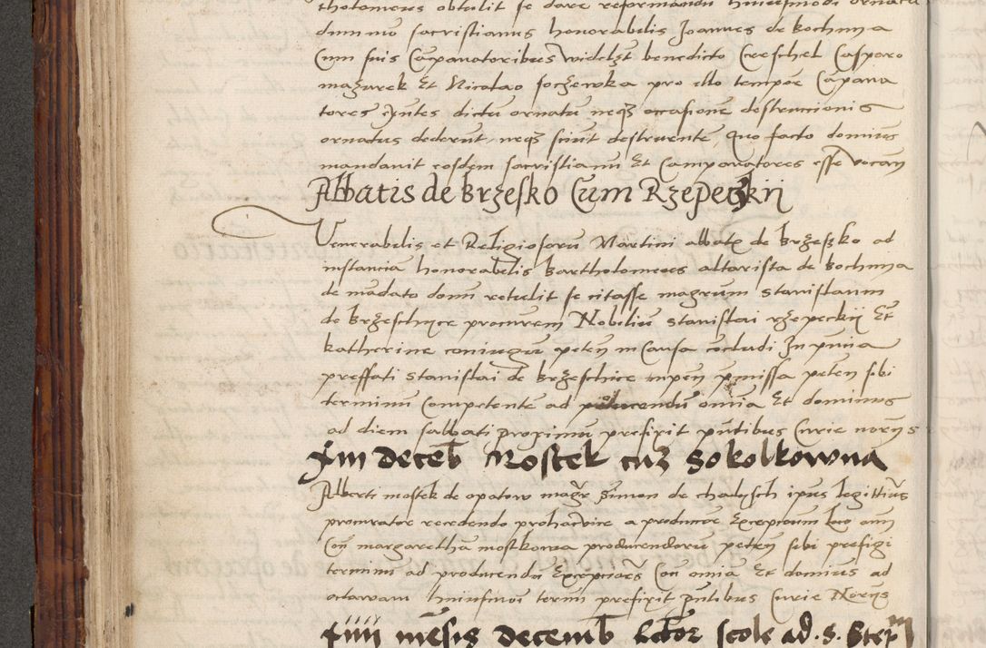 Zdjęcie nr 196 dla obiektu archiwalnego: Volumen III actorum episcopalium R.R.  Joannis Konarski episcopi Cracoviensis ex annis 18 I 1520-27 III 1524