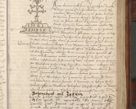 Zdjęcie nr 191 dla obiektu archiwalnego: Volumen III actorum episcopalium R.R.  Joannis Konarski episcopi Cracoviensis ex annis 18 I 1520-27 III 1524