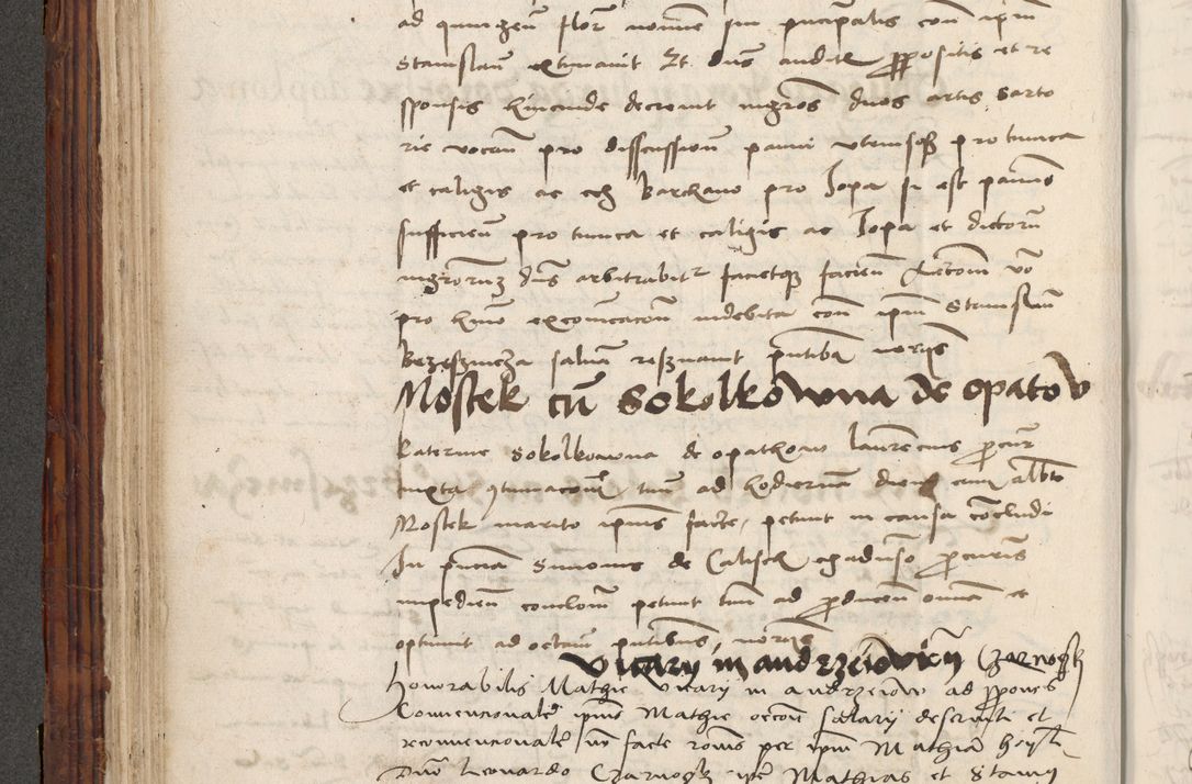 Zdjęcie nr 186 dla obiektu archiwalnego: Volumen III actorum episcopalium R.R.  Joannis Konarski episcopi Cracoviensis ex annis 18 I 1520-27 III 1524