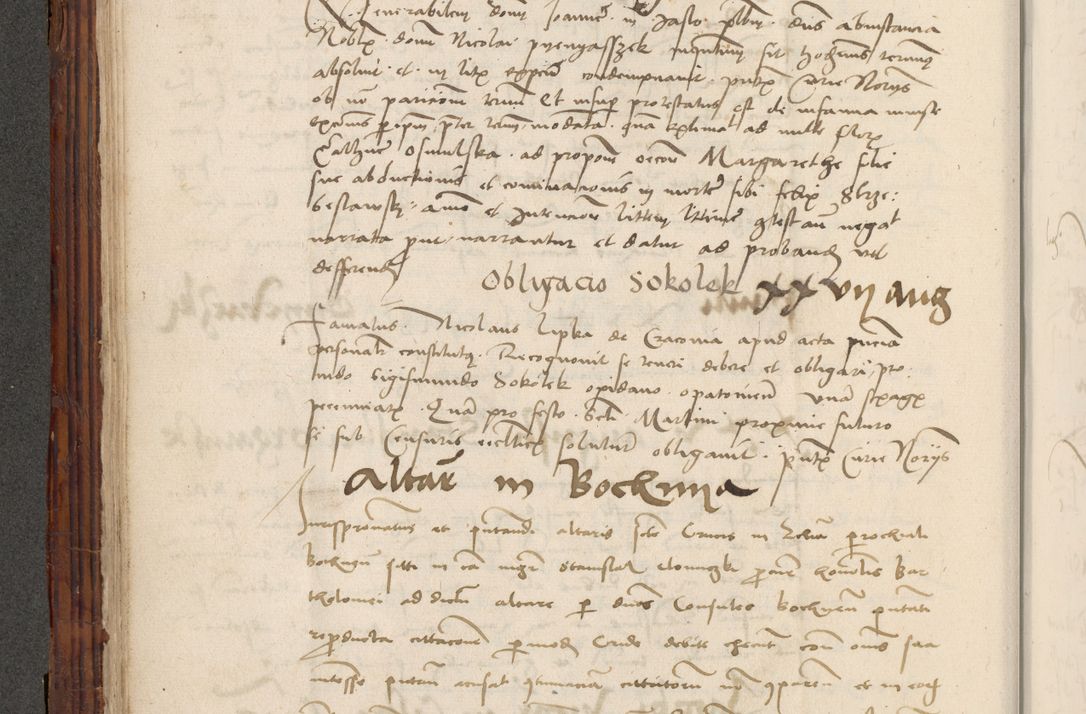 Zdjęcie nr 136 dla obiektu archiwalnego: Volumen III actorum episcopalium R.R.  Joannis Konarski episcopi Cracoviensis ex annis 18 I 1520-27 III 1524