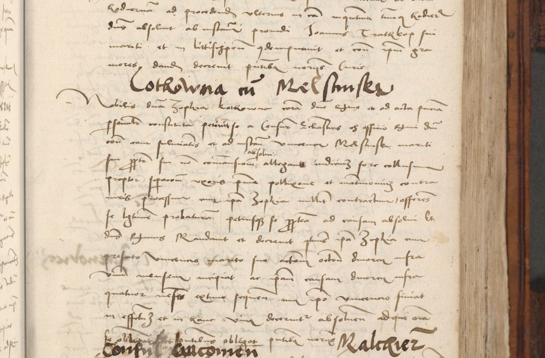 Zdjęcie nr 119 dla obiektu archiwalnego: Volumen III actorum episcopalium R.R.  Joannis Konarski episcopi Cracoviensis ex annis 18 I 1520-27 III 1524