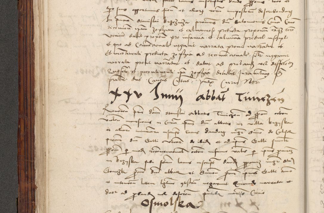 Zdjęcie nr 102 dla obiektu archiwalnego: Volumen III actorum episcopalium R.R.  Joannis Konarski episcopi Cracoviensis ex annis 18 I 1520-27 III 1524