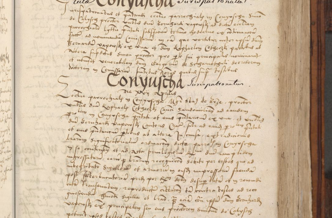 Zdjęcie nr 65 dla obiektu archiwalnego: Volumen III actorum episcopalium R.R.  Joannis Konarski episcopi Cracoviensis ex annis 18 I 1520-27 III 1524