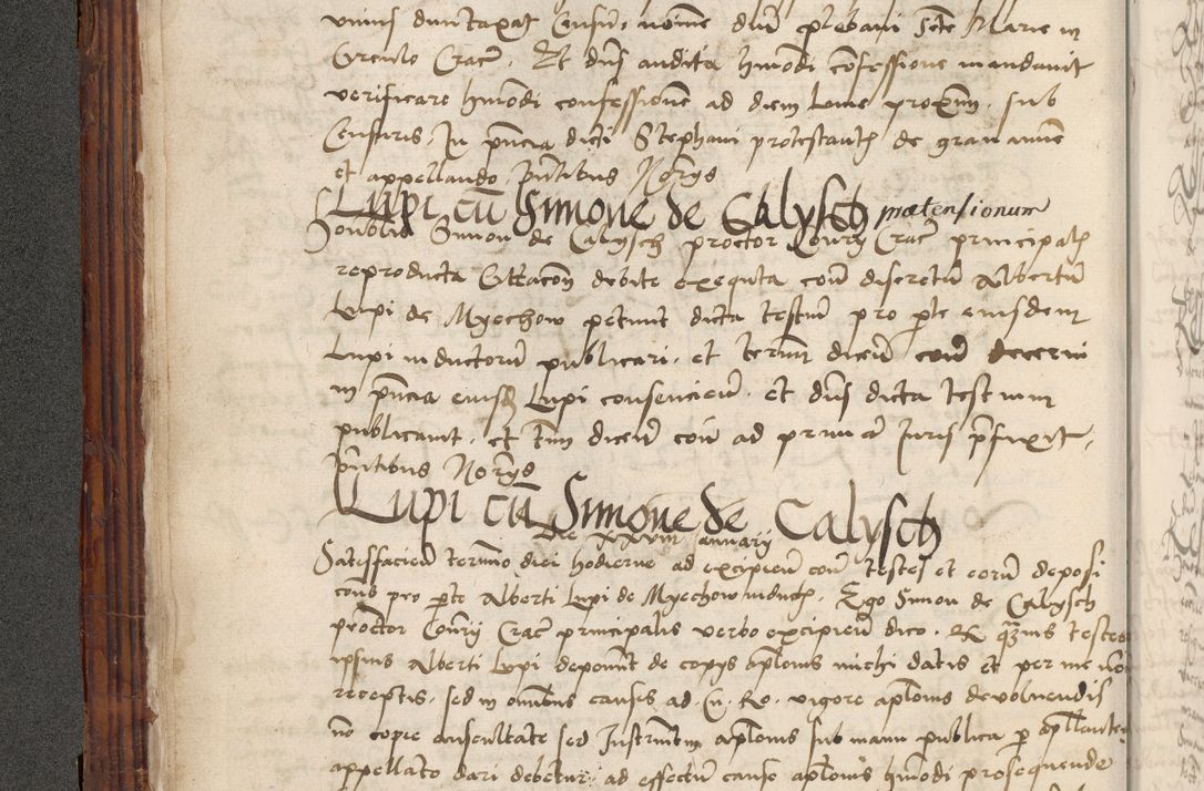 Zdjęcie nr 19 dla obiektu archiwalnego: Volumen III actorum episcopalium R.R.  Joannis Konarski episcopi Cracoviensis ex annis 18 I 1520-27 III 1524