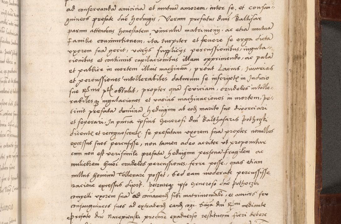 Zdjęcie nr 495 dla obiektu archiwalnego: Volumen I-um actorum coram R. D. Petro Tomicki, episcopo Cracoviensi et Regni Poloniae Vicecancellario, annoru 1524 a mense Aprili, 1525, 1526, 1527, 1528 et 1529 inclusive, quoeum indicem ad finem eiusdem voluminis videre licet.