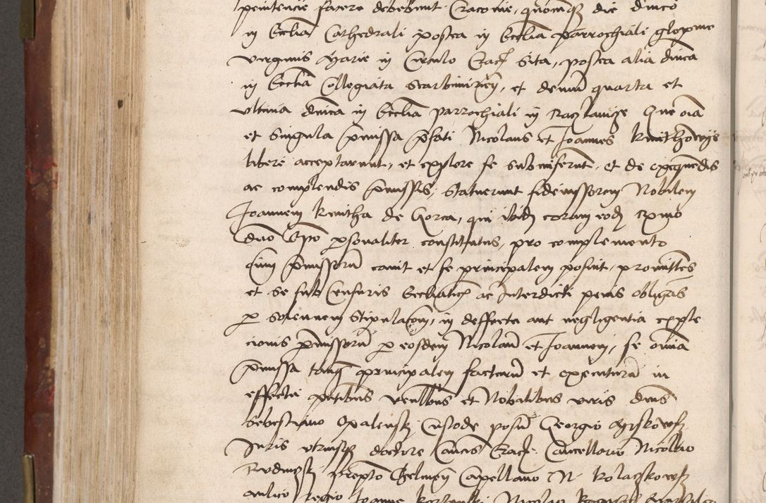 Zdjęcie nr 482 dla obiektu archiwalnego: Volumen I-um actorum coram R. D. Petro Tomicki, episcopo Cracoviensi et Regni Poloniae Vicecancellario, annoru 1524 a mense Aprili, 1525, 1526, 1527, 1528 et 1529 inclusive, quoeum indicem ad finem eiusdem voluminis videre licet.
