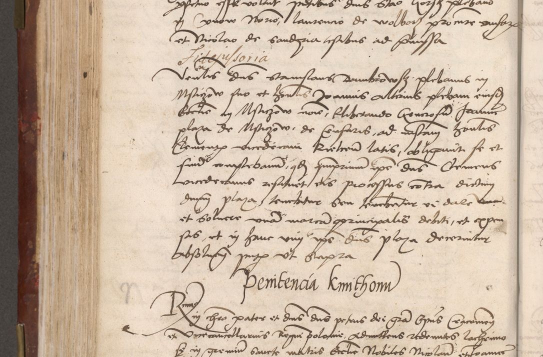 Zdjęcie nr 480 dla obiektu archiwalnego: Volumen I-um actorum coram R. D. Petro Tomicki, episcopo Cracoviensi et Regni Poloniae Vicecancellario, annoru 1524 a mense Aprili, 1525, 1526, 1527, 1528 et 1529 inclusive, quoeum indicem ad finem eiusdem voluminis videre licet.