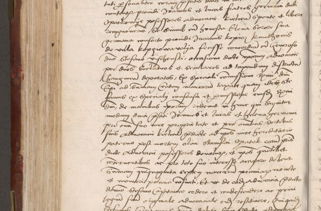 Zdjęcie nr 452 dla obiektu archiwalnego: Volumen I-um actorum coram R. D. Petro Tomicki, episcopo Cracoviensi et Regni Poloniae Vicecancellario, annoru 1524 a mense Aprili, 1525, 1526, 1527, 1528 et 1529 inclusive, quoeum indicem ad finem eiusdem voluminis videre licet.