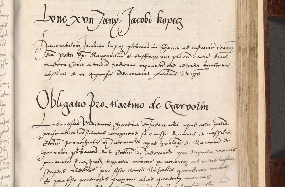 Zdjęcie nr 341 dla obiektu archiwalnego: Volumen I-um actorum coram R. D. Petro Tomicki, episcopo Cracoviensi et Regni Poloniae Vicecancellario, annoru 1524 a mense Aprili, 1525, 1526, 1527, 1528 et 1529 inclusive, quoeum indicem ad finem eiusdem voluminis videre licet.
