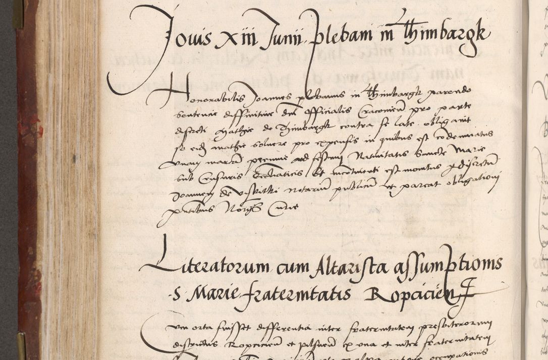 Zdjęcie nr 334 dla obiektu archiwalnego: Volumen I-um actorum coram R. D. Petro Tomicki, episcopo Cracoviensi et Regni Poloniae Vicecancellario, annoru 1524 a mense Aprili, 1525, 1526, 1527, 1528 et 1529 inclusive, quoeum indicem ad finem eiusdem voluminis videre licet.