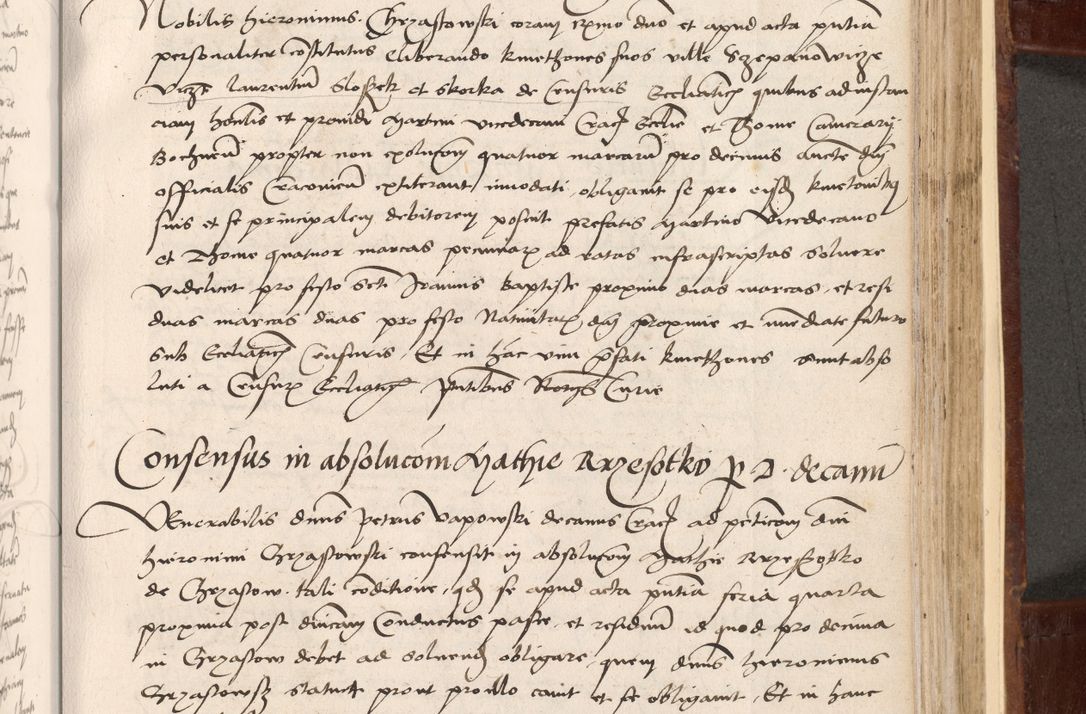 Zdjęcie nr 313 dla obiektu archiwalnego: Volumen I-um actorum coram R. D. Petro Tomicki, episcopo Cracoviensi et Regni Poloniae Vicecancellario, annoru 1524 a mense Aprili, 1525, 1526, 1527, 1528 et 1529 inclusive, quoeum indicem ad finem eiusdem voluminis videre licet.