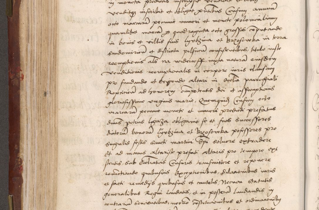 Zdjęcie nr 276 dla obiektu archiwalnego: Volumen I-um actorum coram R. D. Petro Tomicki, episcopo Cracoviensi et Regni Poloniae Vicecancellario, annoru 1524 a mense Aprili, 1525, 1526, 1527, 1528 et 1529 inclusive, quoeum indicem ad finem eiusdem voluminis videre licet.