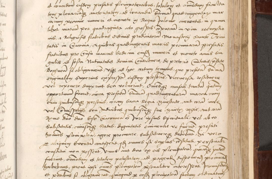 Zdjęcie nr 263 dla obiektu archiwalnego: Volumen I-um actorum coram R. D. Petro Tomicki, episcopo Cracoviensi et Regni Poloniae Vicecancellario, annoru 1524 a mense Aprili, 1525, 1526, 1527, 1528 et 1529 inclusive, quoeum indicem ad finem eiusdem voluminis videre licet.