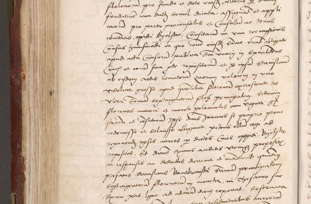 Zdjęcie nr 230 dla obiektu archiwalnego: Volumen I-um actorum coram R. D. Petro Tomicki, episcopo Cracoviensi et Regni Poloniae Vicecancellario, annoru 1524 a mense Aprili, 1525, 1526, 1527, 1528 et 1529 inclusive, quoeum indicem ad finem eiusdem voluminis videre licet.