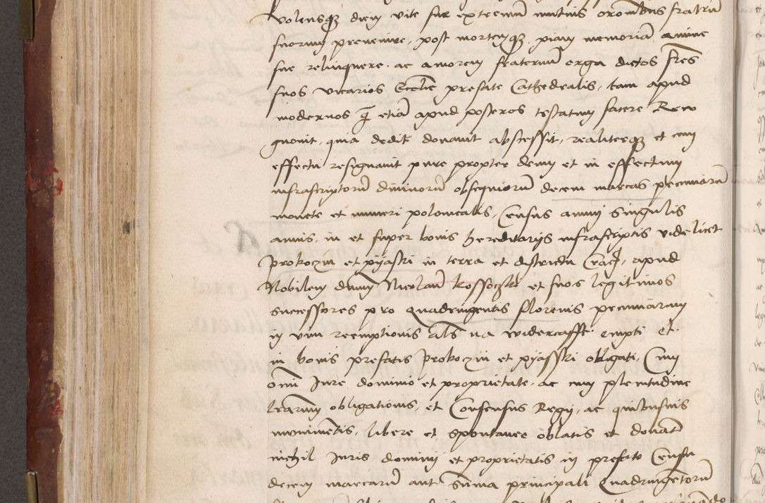 Zdjęcie nr 226 dla obiektu archiwalnego: Volumen I-um actorum coram R. D. Petro Tomicki, episcopo Cracoviensi et Regni Poloniae Vicecancellario, annoru 1524 a mense Aprili, 1525, 1526, 1527, 1528 et 1529 inclusive, quoeum indicem ad finem eiusdem voluminis videre licet.