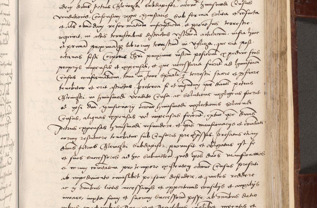 Zdjęcie nr 217 dla obiektu archiwalnego: Volumen I-um actorum coram R. D. Petro Tomicki, episcopo Cracoviensi et Regni Poloniae Vicecancellario, annoru 1524 a mense Aprili, 1525, 1526, 1527, 1528 et 1529 inclusive, quoeum indicem ad finem eiusdem voluminis videre licet.
