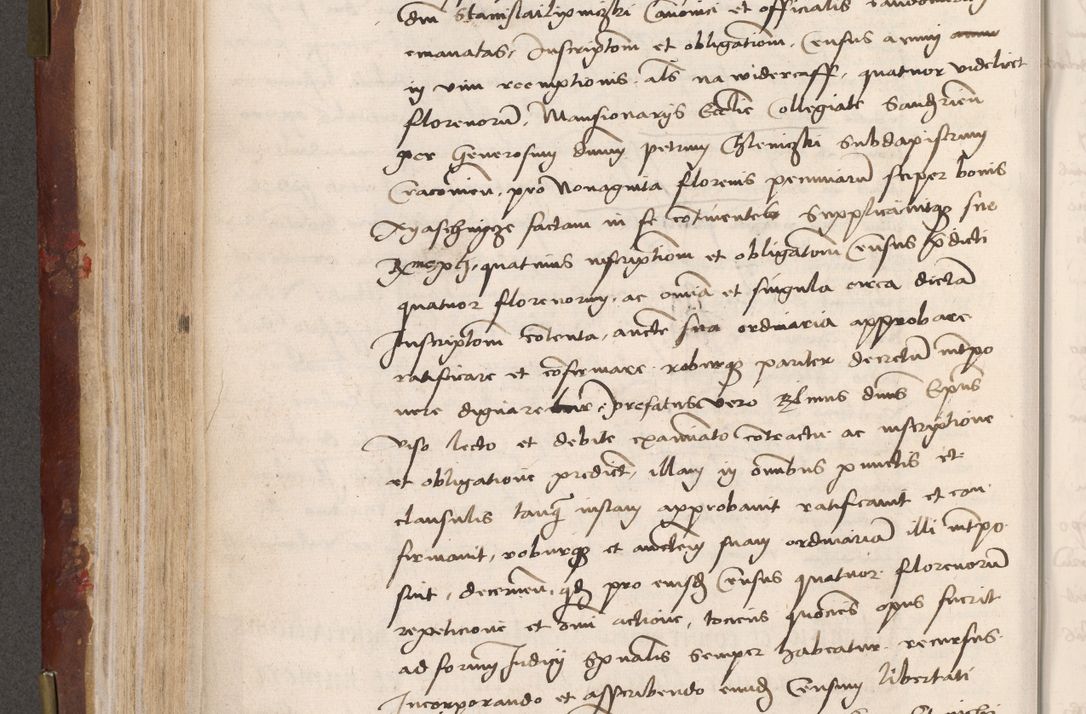 Zdjęcie nr 214 dla obiektu archiwalnego: Volumen I-um actorum coram R. D. Petro Tomicki, episcopo Cracoviensi et Regni Poloniae Vicecancellario, annoru 1524 a mense Aprili, 1525, 1526, 1527, 1528 et 1529 inclusive, quoeum indicem ad finem eiusdem voluminis videre licet.