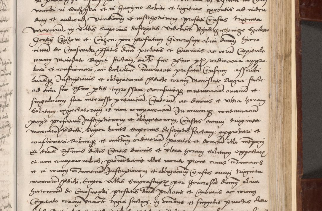 Zdjęcie nr 191 dla obiektu archiwalnego: Volumen I-um actorum coram R. D. Petro Tomicki, episcopo Cracoviensi et Regni Poloniae Vicecancellario, annoru 1524 a mense Aprili, 1525, 1526, 1527, 1528 et 1529 inclusive, quoeum indicem ad finem eiusdem voluminis videre licet.