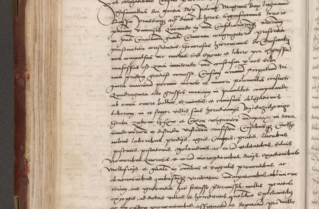 Zdjęcie nr 192 dla obiektu archiwalnego: Volumen I-um actorum coram R. D. Petro Tomicki, episcopo Cracoviensi et Regni Poloniae Vicecancellario, annoru 1524 a mense Aprili, 1525, 1526, 1527, 1528 et 1529 inclusive, quoeum indicem ad finem eiusdem voluminis videre licet.