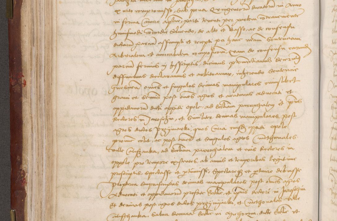 Zdjęcie nr 160 dla obiektu archiwalnego: Volumen I-um actorum coram R. D. Petro Tomicki, episcopo Cracoviensi et Regni Poloniae Vicecancellario, annoru 1524 a mense Aprili, 1525, 1526, 1527, 1528 et 1529 inclusive, quoeum indicem ad finem eiusdem voluminis videre licet.