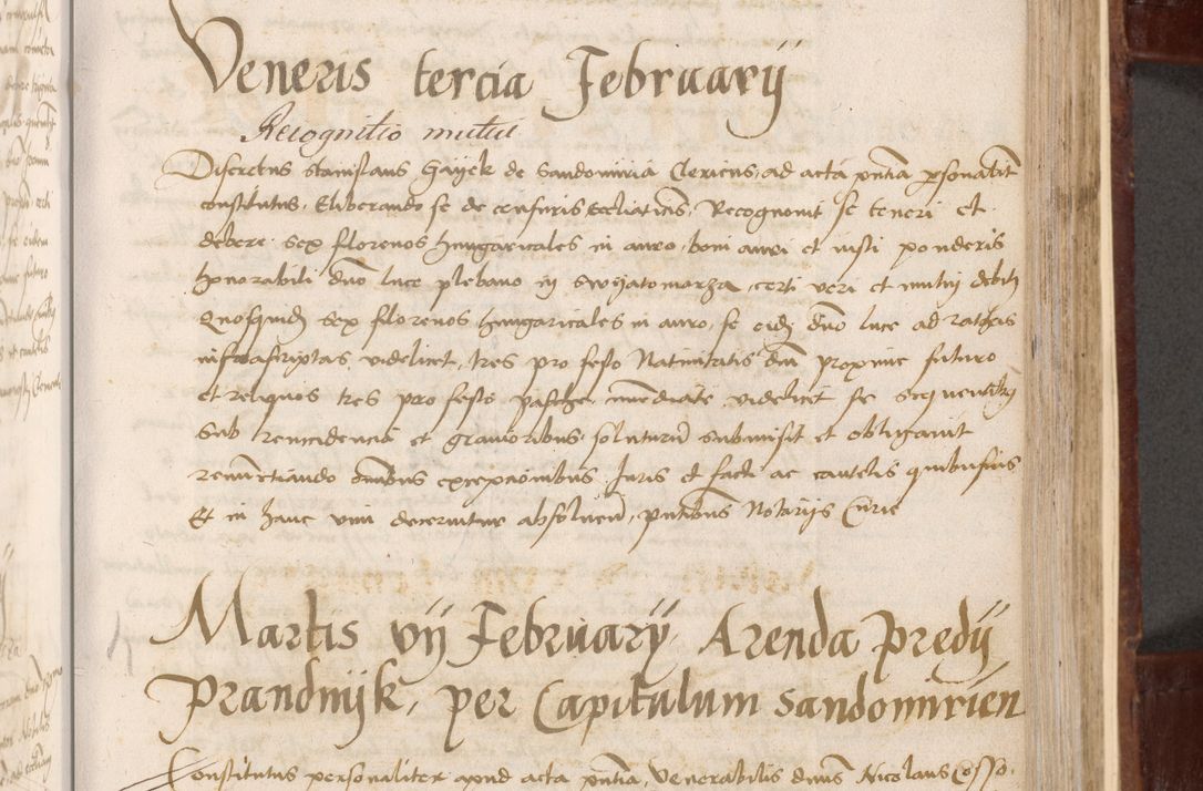 Zdjęcie nr 139 dla obiektu archiwalnego: Volumen I-um actorum coram R. D. Petro Tomicki, episcopo Cracoviensi et Regni Poloniae Vicecancellario, annoru 1524 a mense Aprili, 1525, 1526, 1527, 1528 et 1529 inclusive, quoeum indicem ad finem eiusdem voluminis videre licet.