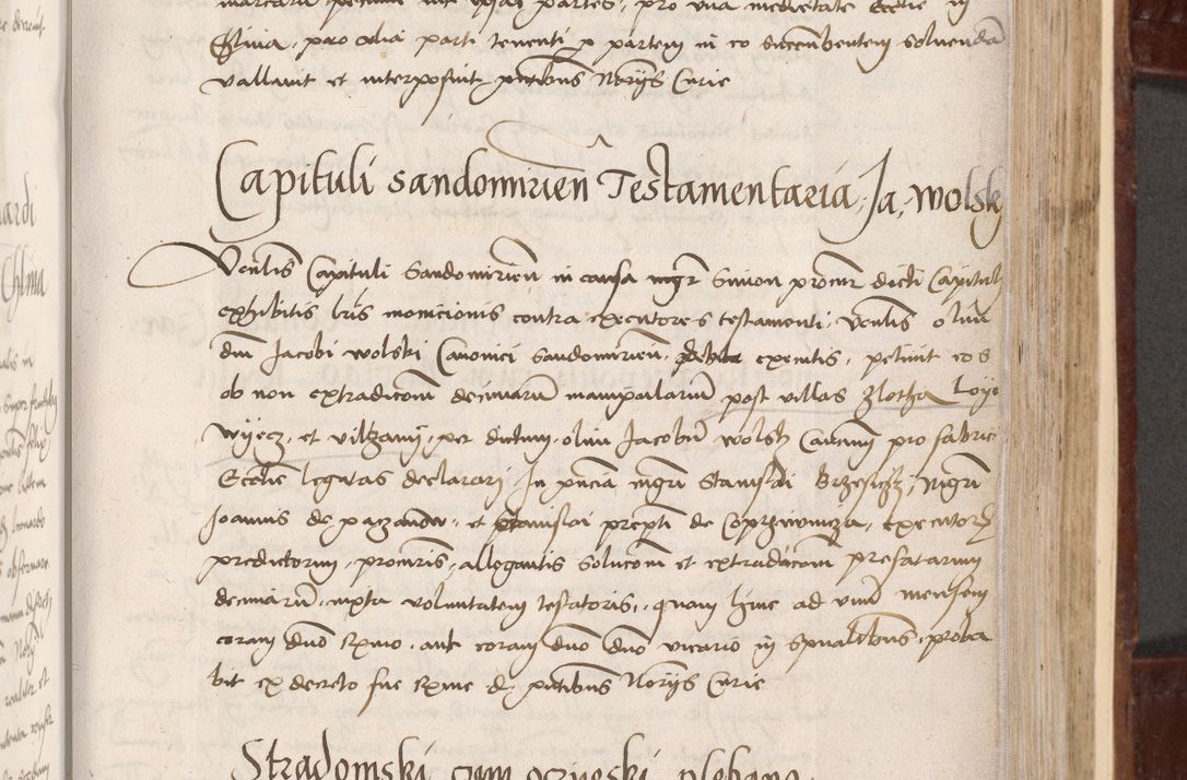 Zdjęcie nr 115 dla obiektu archiwalnego: Volumen I-um actorum coram R. D. Petro Tomicki, episcopo Cracoviensi et Regni Poloniae Vicecancellario, annoru 1524 a mense Aprili, 1525, 1526, 1527, 1528 et 1529 inclusive, quoeum indicem ad finem eiusdem voluminis videre licet.