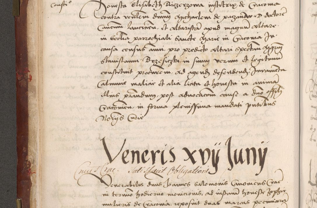 Zdjęcie nr 38 dla obiektu archiwalnego: Volumen I-um actorum coram R. D. Petro Tomicki, episcopo Cracoviensi et Regni Poloniae Vicecancellario, annoru 1524 a mense Aprili, 1525, 1526, 1527, 1528 et 1529 inclusive, quoeum indicem ad finem eiusdem voluminis videre licet.