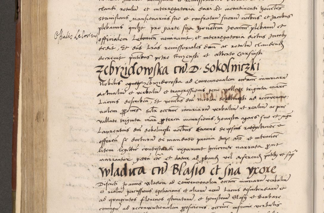 Zdjęcie nr 465 dla obiektu archiwalnego: Volumen II-um actorum coram R. D. Petro Tomicki, episcopo Cracoviensi et Regni Poloniae Vicecancellario, per A. D. 1530 et 1531 inclusive acticatorum, quorum indicem ad finem praesentis voluminis adnotatum videre est.