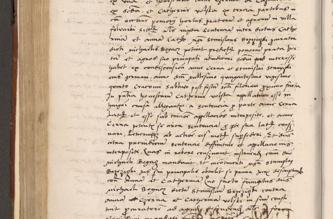 Zdjęcie nr 429 dla obiektu archiwalnego: Volumen II-um actorum coram R. D. Petro Tomicki, episcopo Cracoviensi et Regni Poloniae Vicecancellario, per A. D. 1530 et 1531 inclusive acticatorum, quorum indicem ad finem praesentis voluminis adnotatum videre est.