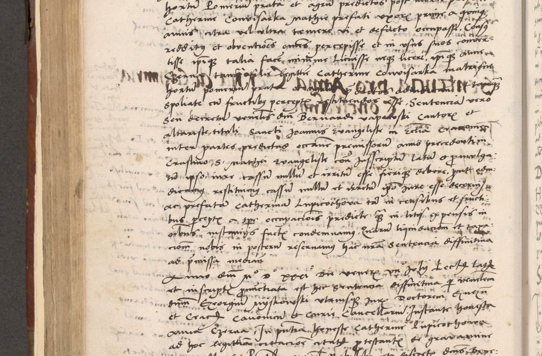 Zdjęcie nr 389 dla obiektu archiwalnego: Volumen II-um actorum coram R. D. Petro Tomicki, episcopo Cracoviensi et Regni Poloniae Vicecancellario, per A. D. 1530 et 1531 inclusive acticatorum, quorum indicem ad finem praesentis voluminis adnotatum videre est.
