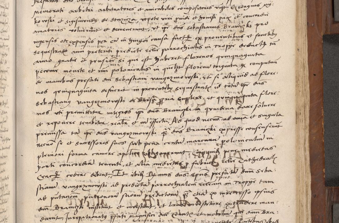 Zdjęcie nr 380 dla obiektu archiwalnego: Volumen II-um actorum coram R. D. Petro Tomicki, episcopo Cracoviensi et Regni Poloniae Vicecancellario, per A. D. 1530 et 1531 inclusive acticatorum, quorum indicem ad finem praesentis voluminis adnotatum videre est.