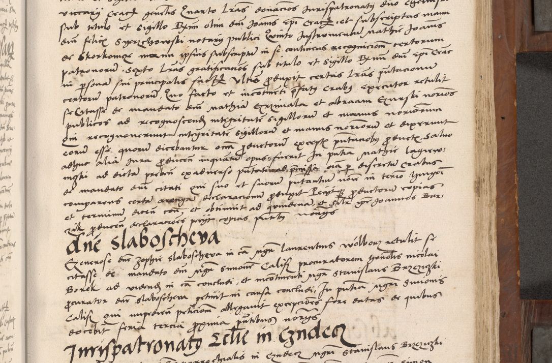 Zdjęcie nr 356 dla obiektu archiwalnego: Volumen II-um actorum coram R. D. Petro Tomicki, episcopo Cracoviensi et Regni Poloniae Vicecancellario, per A. D. 1530 et 1531 inclusive acticatorum, quorum indicem ad finem praesentis voluminis adnotatum videre est.