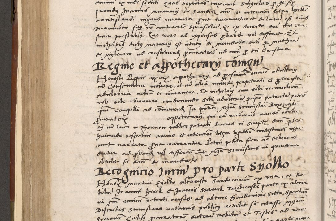 Zdjęcie nr 341 dla obiektu archiwalnego: Volumen II-um actorum coram R. D. Petro Tomicki, episcopo Cracoviensi et Regni Poloniae Vicecancellario, per A. D. 1530 et 1531 inclusive acticatorum, quorum indicem ad finem praesentis voluminis adnotatum videre est.