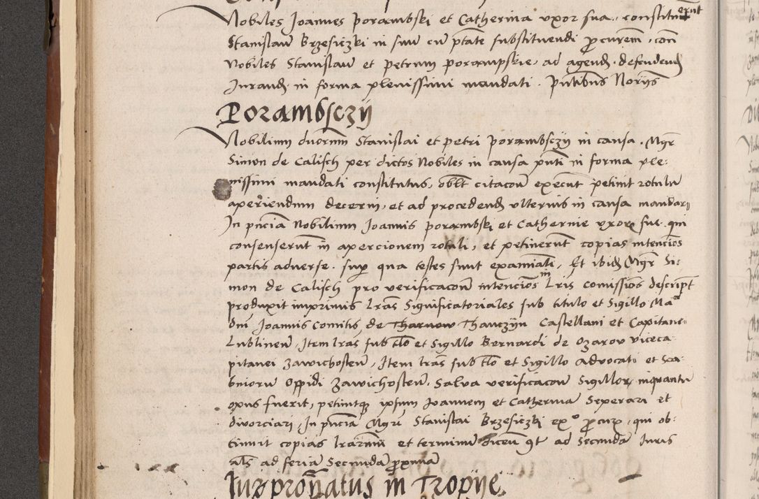 Zdjęcie nr 133 dla obiektu archiwalnego: Volumen II-um actorum coram R. D. Petro Tomicki, episcopo Cracoviensi et Regni Poloniae Vicecancellario, per A. D. 1530 et 1531 inclusive acticatorum, quorum indicem ad finem praesentis voluminis adnotatum videre est.