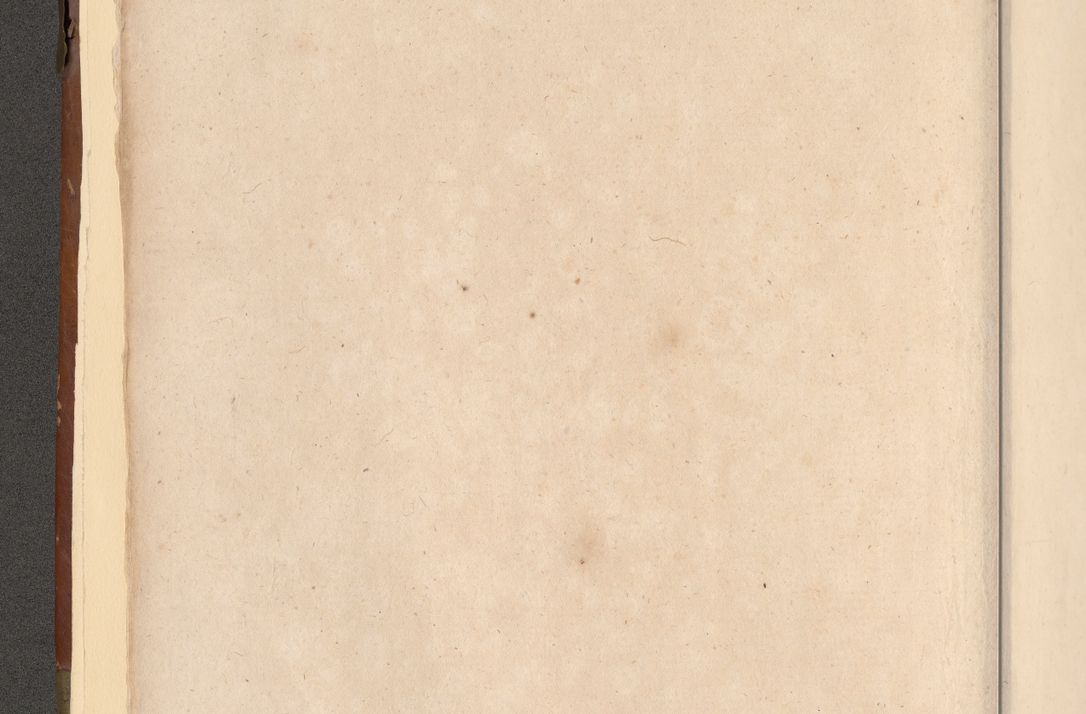 Zdjęcie nr 13 dla obiektu archiwalnego: Volumen II-um actorum coram R. D. Petro Tomicki, episcopo Cracoviensi et Regni Poloniae Vicecancellario, per A. D. 1530 et 1531 inclusive acticatorum, quorum indicem ad finem praesentis voluminis adnotatum videre est.