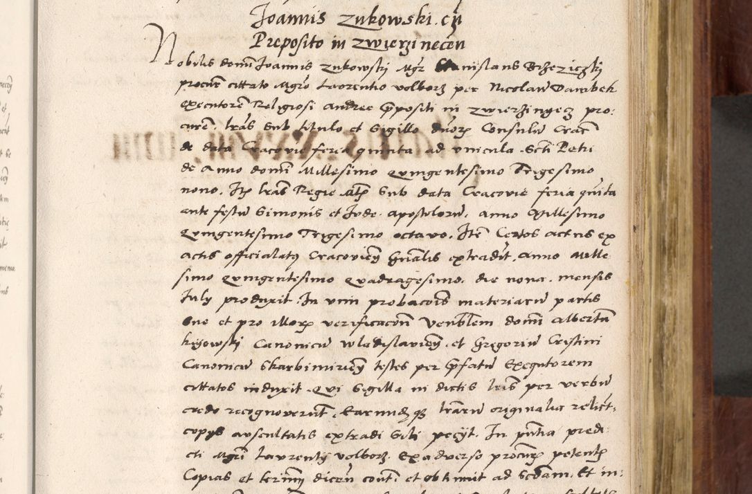 Zdjęcie nr 376 dla obiektu archiwalnego: Acta actorum coram R. D. Petro de Gamratis, nominati archiepiscopi Gnesnensis, episcopi Cracoviensis per annos 1541 et 1542 acticatorum, praesidente tunc curiase suae R. D. Bartholomaeo Gantkowski, canonico Cracoviensi, Posnaniensi cancellario, parochialis in Konopisca etc. rectore.