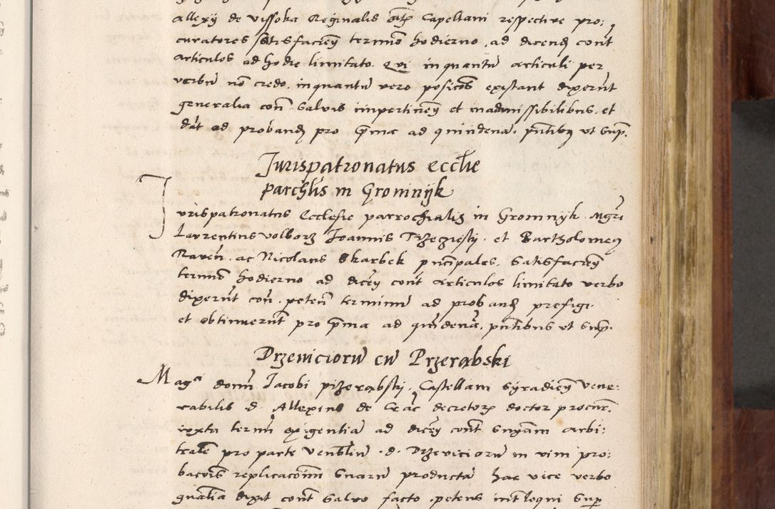 Zdjęcie nr 354 dla obiektu archiwalnego: Acta actorum coram R. D. Petro de Gamratis, nominati archiepiscopi Gnesnensis, episcopi Cracoviensis per annos 1541 et 1542 acticatorum, praesidente tunc curiase suae R. D. Bartholomaeo Gantkowski, canonico Cracoviensi, Posnaniensi cancellario, parochialis in Konopisca etc. rectore.